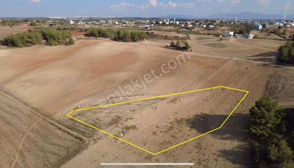 Zorlu'dan Boynuyoğun Mah. Satılık Tek Tapu Arsa
