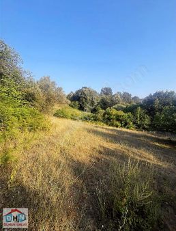 Duhan Emlak'tan Safran Köyün'de Satılık Tarla