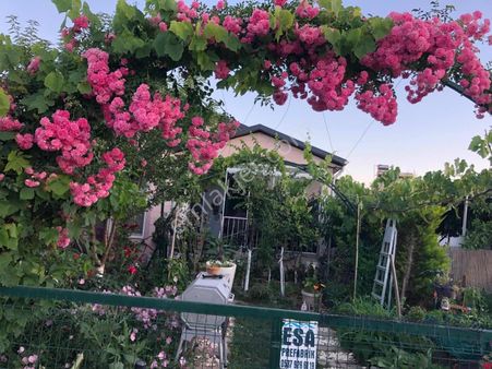 Kale İçine Yürüme Mesafesinde 2+1 Botanik Bahçeli Müstakil