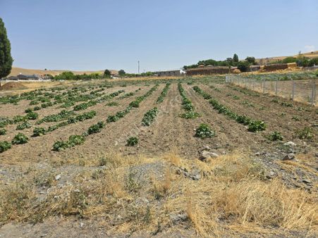 Şehitali Yapılaşma İçinde Köşe Villa Parseli 1674m2