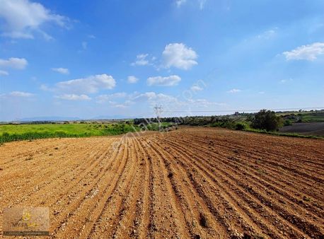 Sarıçam Yarımca'da 6091m² Tek Tapu Tarla