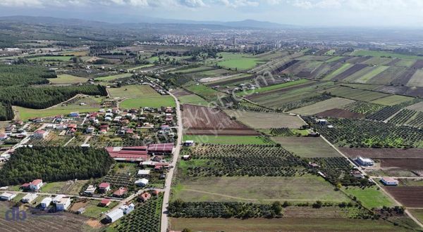 Menderes Oğlananası Nda 9460 M2 Satılık Tek Tapu