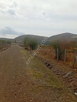 7500 Metre Hazır Bahçe