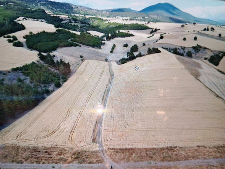 Geyve Halidiye Mahallesinde Resmi Yola Cepheli Fırsat Tarla