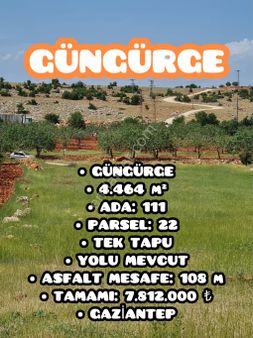 Güngürdege Bölgesi İmara Yakın – Zeytinlik Arazi Fırsatı! 4.464 M² – Yola Sıfır – Yatırımlık Parsel