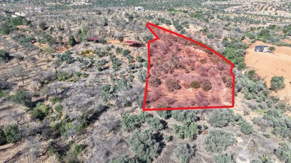 Datça Cumalı Mahallesinde 4.606m² Bademlik