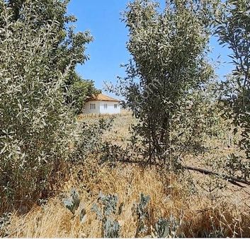 Çivril Menteş Mahallesin'de Satılık Arsa 1234 Metre Kare