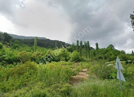 Kw Cobans'tan Yatırımlık Fırsat! Kemalpaşa’da Tek Hisseli 1488 M² Bağ Bahçe Arazi!