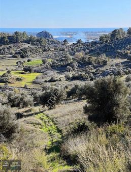 İnfo Gayrimenkul'den Satılık Tarla
