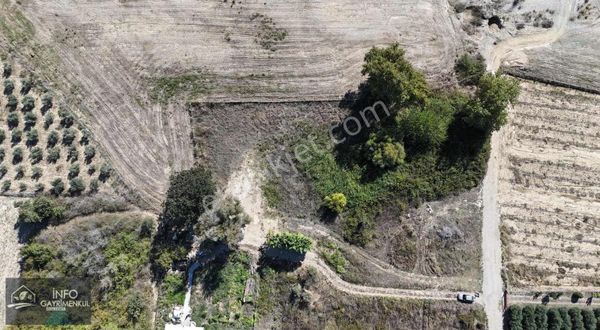 İnfo Gayrimenkulden Satılık Yola Yakın Tarla