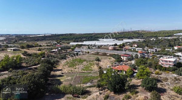 İnfo Gayrimenkulden Hocalıda Yola Yakın Yatırımlık Tarla