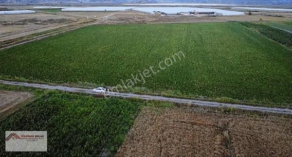 Gülpınar Emlak Dan Gölhisar Ovasında Tek Tapu 38 Dönüm