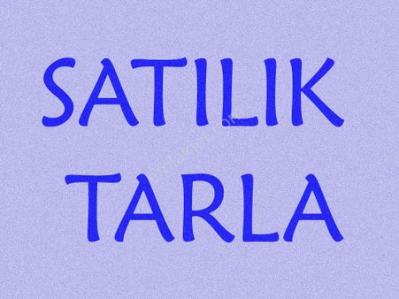 Ender Uysal Gayrimenkulden Çal Hüseyinler De Satılık Tarla..