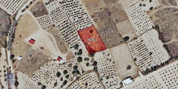 Nevşehir Ürgüp Sofular Mah.sinde Yatırımlık Bağ