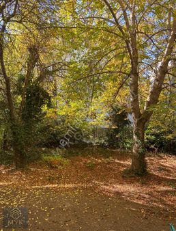 Şimşek Sok.ta 2+1 115m2 Mükemmel Bahçe Katı-çıkışlı Balkonlu-