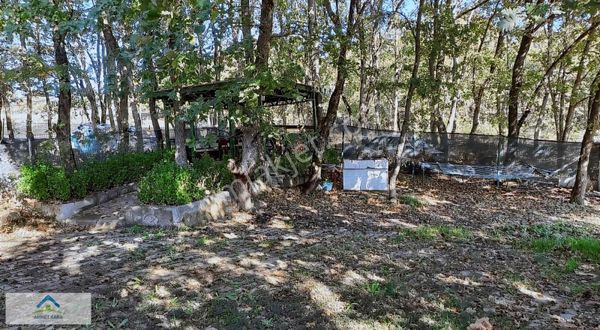 Gebze Cumaköy Doğayla İç İçe 1.500 M2 Arsa İçinde Ev