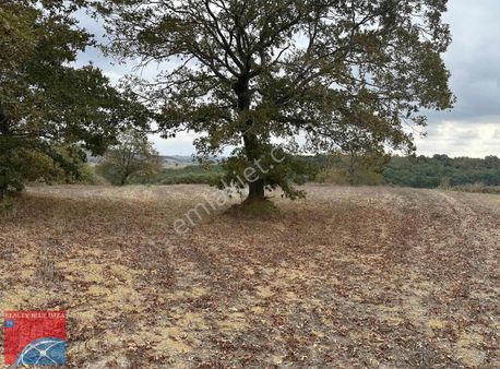 Kandıra Seyitaliler'de Su Ve Elektrik Yanında Fırsat Karla