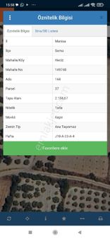 Anadolu'dan Heciz Mevkii Satılık Zeytinlik