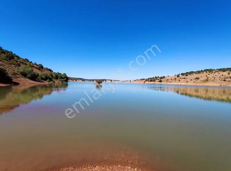 Gölet Kenarı 2000 Metre Bahçelik Arazi