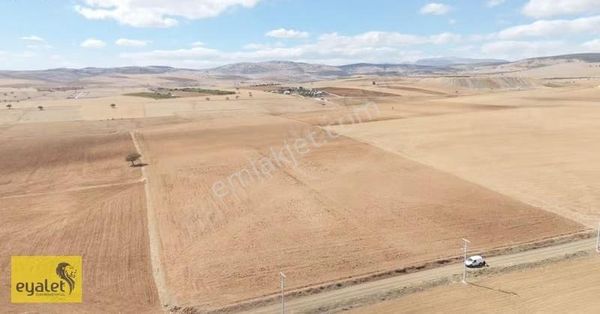 Çayırbağında Satılık Müstakil 36.563 M2 Yola Cephe Tarla
