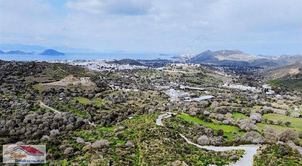 Turgutreiste Full Deniz Manzaralı Tek Tapu 5000m2 Tarla