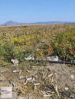 Manisa Kırkağaç Şaireşrefte Yola Sıfır 7606 M2 Satılık Tarla