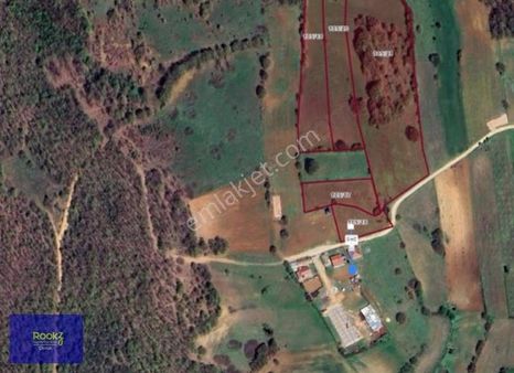 Rookz Doruk'dan İnegöl'de Aynı Adada 5 Parselli 32 Dönüm Tarla!!