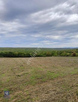 Ömer Ocak'dan Bafra Keliklerde Satılık Tarla