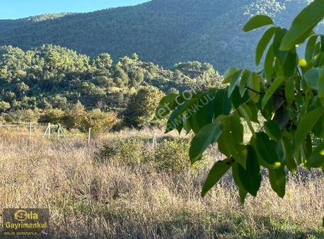 Sıla Gayrimenkulden Kızıltepede 5,208m2.telörgü Çevrili Cevizlik