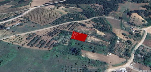 Roma' Dan Deydinler' De Satılık Tarla