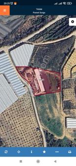 Satılık Hayvan Çiftliği İmamlı Alanya