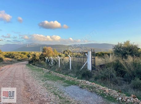 Didim'de Yatırımlık Cadde Cepheli, Etrafı Çevrili, İmarlı Arsa