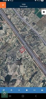 Yonca Gyo Dan Kırkağaç Bakır Satılık Zeytinlik