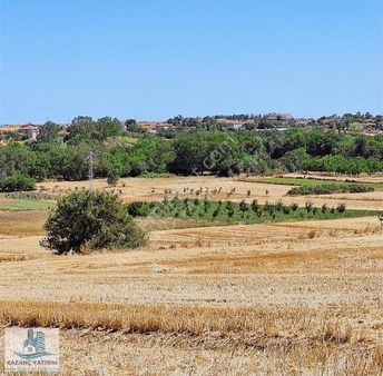 Pınarhisar Ceviz Köyde Tek Tapu Yatırımlık Tarla