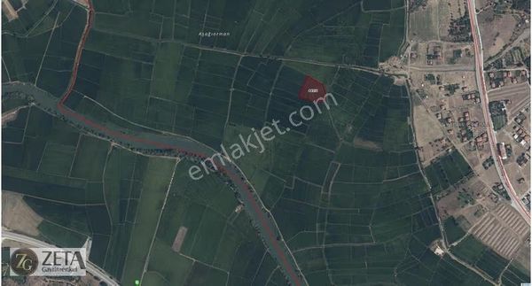 Şehir İçinde, Kamil Yolu Altında Çeltik Tarlası