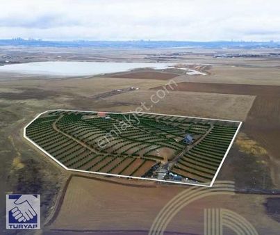Turyap'tan Yağlıpınar Flamingo Bahçelerinde Satılık 400 M2