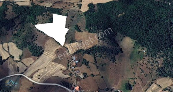 Tan Emlaktan Eflani Göller Köyünde Satılık 18 Dönüm Tarla