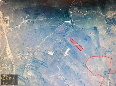 Döngelli Mevkisinde 3615 M2 Satılık Fındık Bahçesi