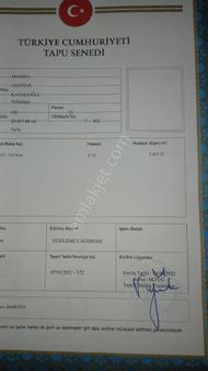 Aysu Konut Emlaktan Satilik Zeytinlik