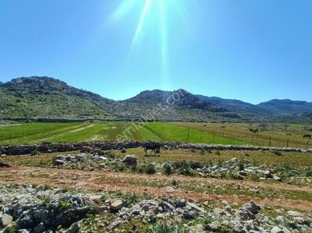 Joker: Marmaris Taşlıca Yol Cephe Tiny House Uygun Satılık