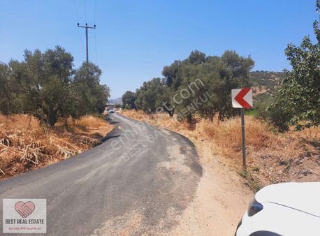Bodrum Milas Karayolu Üzeri Ağaçlıhüyük Köyünde 4155 M² Tarla