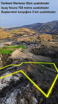 At_deresi_yakını Ormana Cephe_tek Tapu_bahçeye__uygun 3881m2