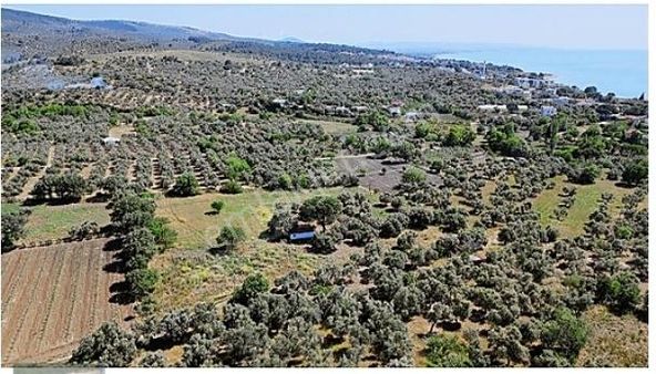 Çanakkale Alemşah Yeni Açılacak Asos Sahil Yoluna Yakın Satılık