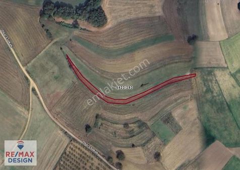 Sakarya Adapazarı Salmanınlı'da 1820 M² Yatırımlık Tarla