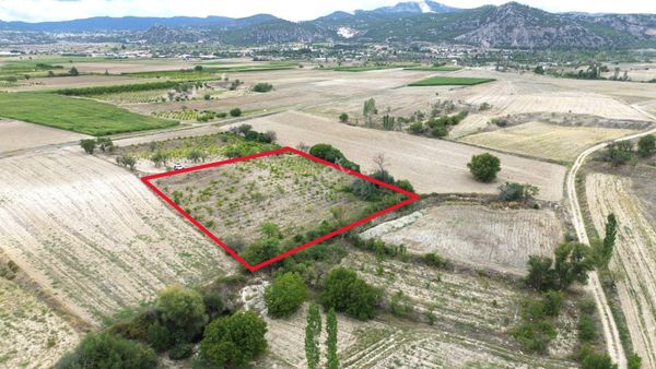 Burdur Merkez Hacılar 7 Dönüm Üzüm Bağı Yatırımlık