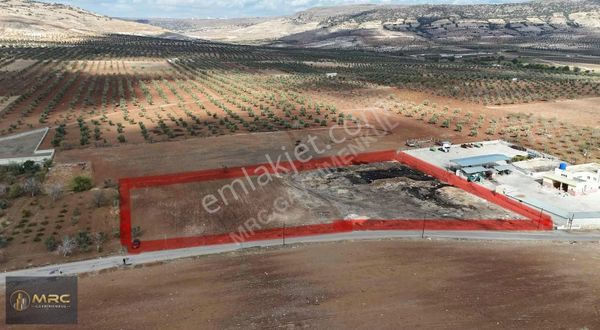 Mrc Gayrimenkulden Yeni Devlet Hast.bölgesinde İmarlı Ham Arazi