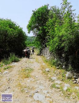 İsmaillide Köyün Yanıbaşında Hissesiztektapusatılık Tarla-950m2-