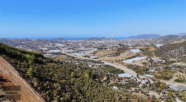 Hasdere Mahallesinde Satılık 7 Dönüm Tarla