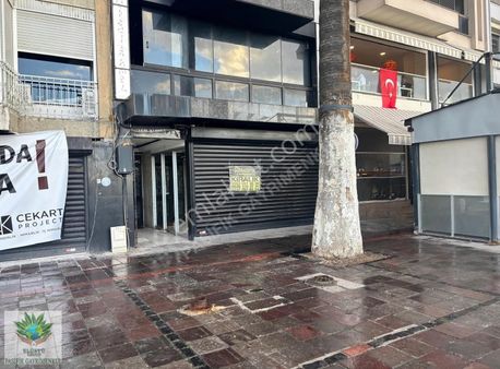 Pasifikten 1.kordonda Ön Bahçeli 150 M² Kurumsala Kiralık Dükkan