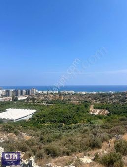 Tırtarda Kaçmaz Fırsat Dairesi